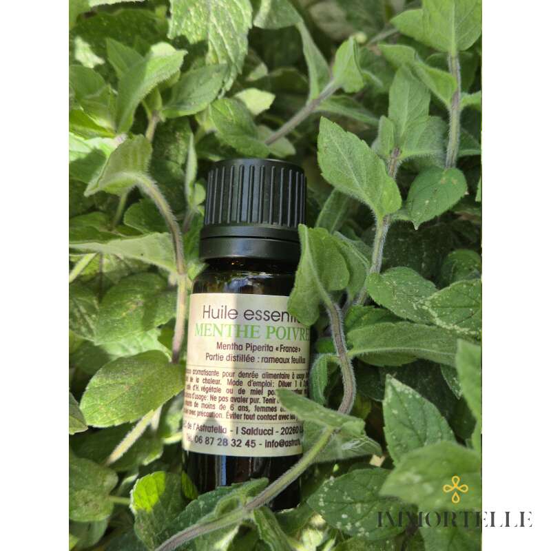 Aceite Esencial Menta Piperita Orgánico