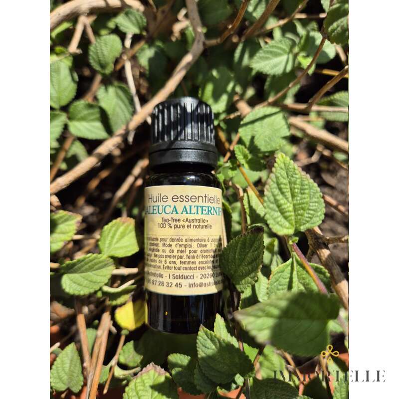 Aceite Esencial Tea Tree