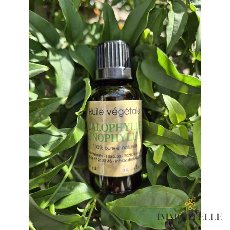 Aceite Vegetal De Calófilo (Tamanu)