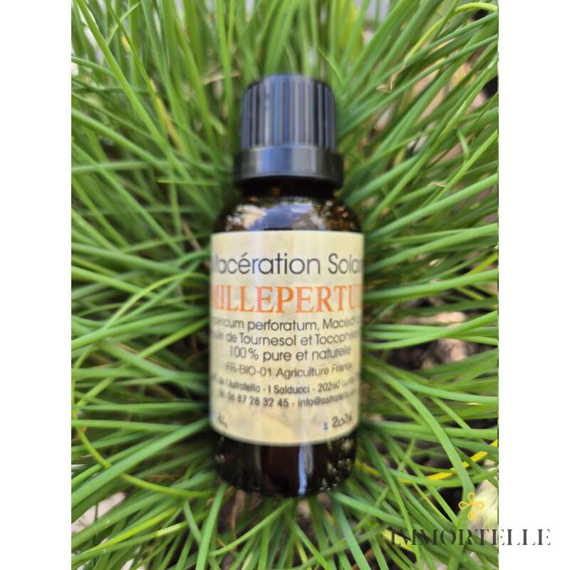 Maceración solar de Hierba de San Juan en Aceite de Girasol