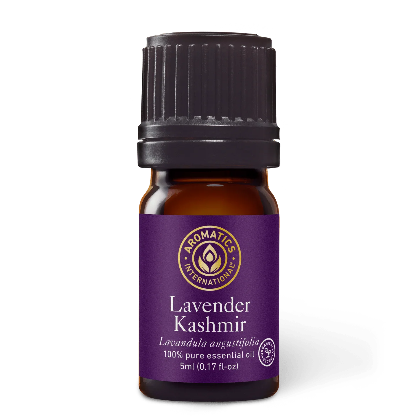 Aceite Esencial Lavanda Kashmir Aromatics International